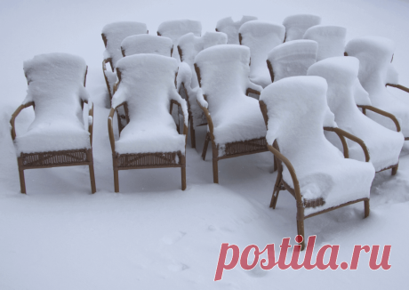 Календарь сезонных работ в саду: декабрь - Planetalsad