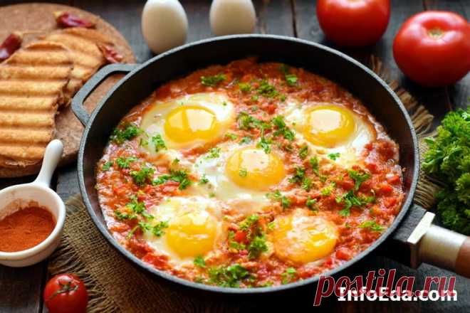 Шакшука (яичница с помидорами): рецепт с фото | InfoEda.com Арабская яичница с помидорами шакшука – вкусный и сытный завтрак для всей семьи. Читаем пошаговый рецепт с фото, как приготовить шакшуку в домашних условиях.