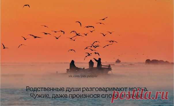 Фотографии на стене сообщества | 32 809 фотографий | ВКонтакте
