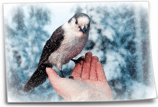 ВСЕ ДЛЯ ДУШИ! - Группы Мой Мир