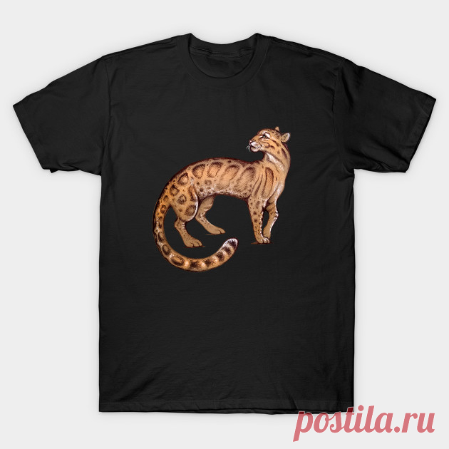 Clouded Leopard - Leopard - T-Shirt | TeePublic