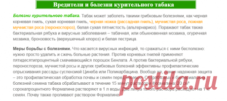 Болезни Табака