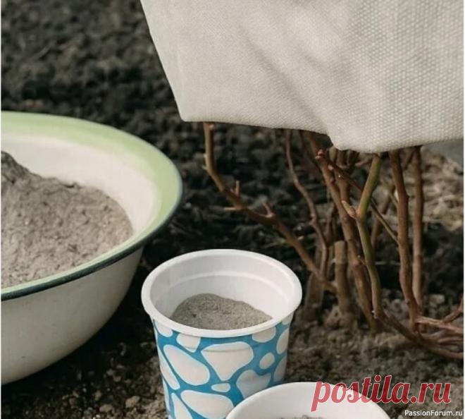 Дачникам. 9 растений, которые любят золу 9 растений на даче, которые любят золу! Зола — источник калия, фосфора и многих других микроэлементов, кроме азота. Это удобрение улучшает качество кислой почвы, делает её более плодородной, повышает иммунитет растений, благодаря чему они эффективнее защищаются от вредителей и...