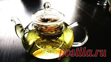 Почечный чай: польза и противопоказания.