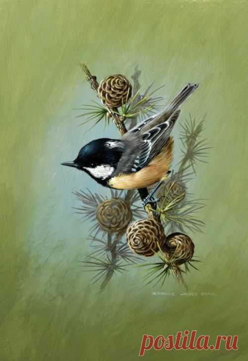 (8) Pinterest