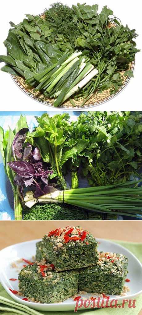 Блюда из огородной зелени / Простые рецепты