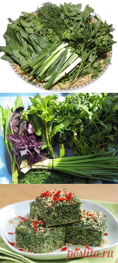 Блюда из огородной зелени / Простые рецепты