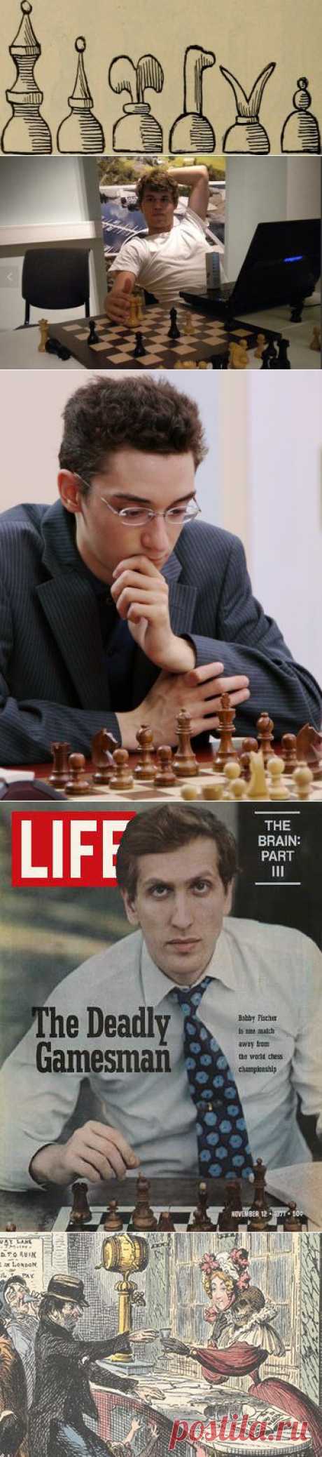 Новые шахматные звёзды
