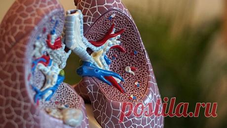 Симптомы рака легких .При раке легких одним из первых симптомов, о которых говорят пациенты, является боль в спине. До этого у человека как будто &quot;ничего не болит&quot;.