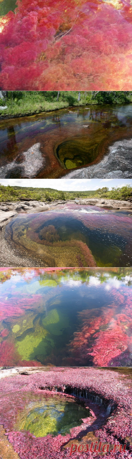 Каньо-Кристалес — самая красивая река на Земле &amp;#8212; Туризм