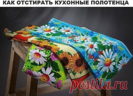 (1) Одноклассники