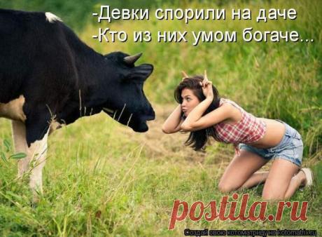 Родительское собрание (котоматрица) | Обхохочешься