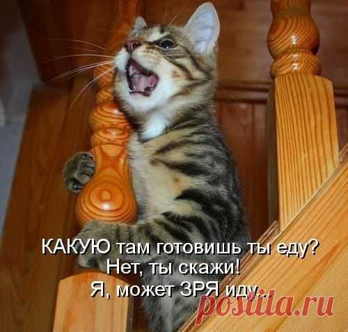 Мой Мир@Mail.Ru