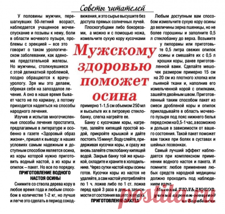 Мужскому здоровью поможет осина