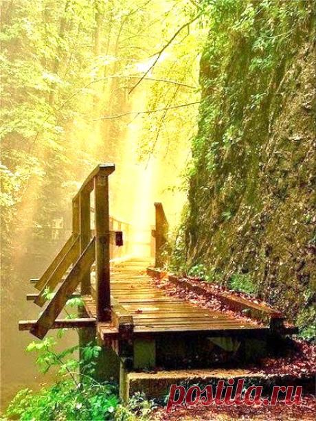 Лучшие фото – Пейзажи/Флора – Community – Google+