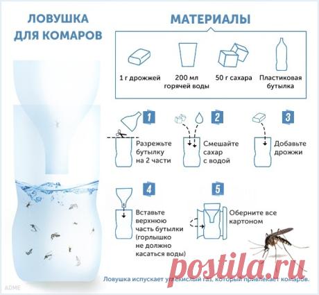10 хитростей против комаров