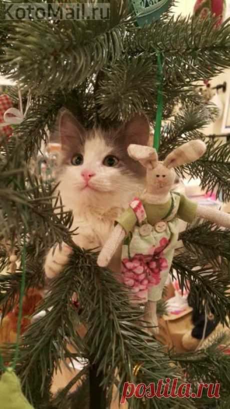 Новогодние игрушки