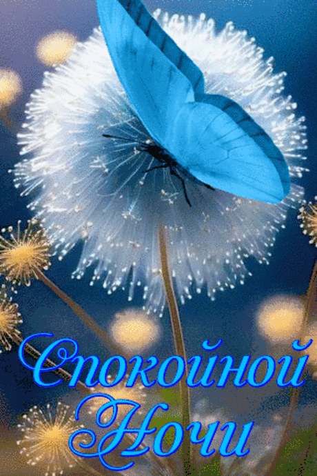 Спокойной ночи