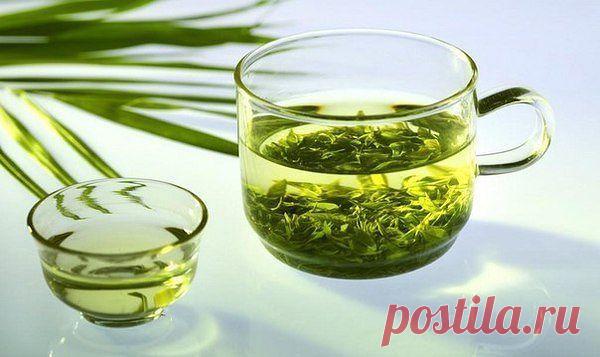 Польза зеленого чая.

1. Это отличный источник антиоксидантов 

2. Он сжигает жир и позволяет вам тренироваться дольше 

3. Продлевает жизнь 

4. Уменьшает стресс и увеличивает мозговую активность 

5. Снижает кровяное давление 

6. Защищает легкие, чистит их если вы курите 

7. Защищает печень от действий алкоголя 

8. Предотвращает гниение зубов 

9. Сохраняет и способствует росту костей 

10. Улучшает имунную систему 

11. Востанавливает водный баланс