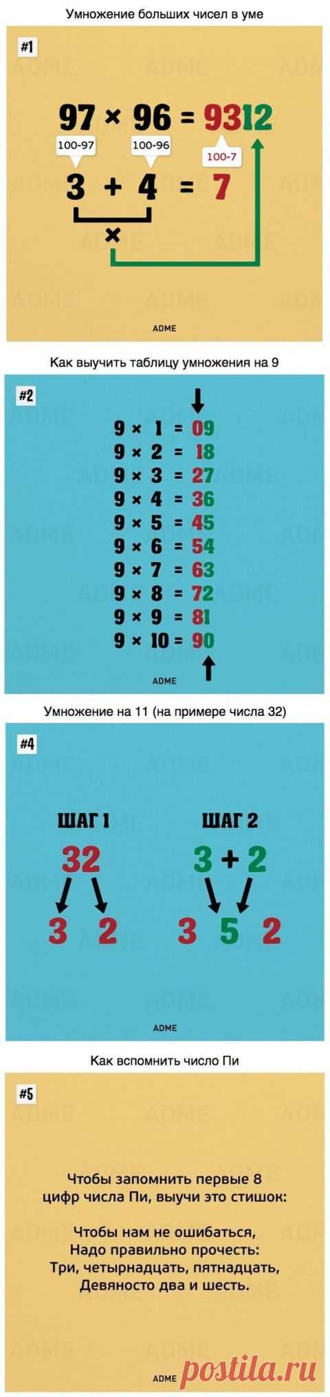 Такому в школе нас не учили. А жаль!