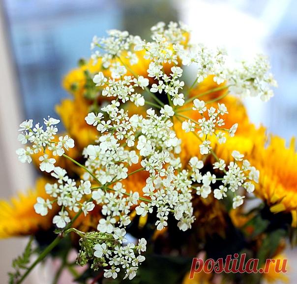 КАКОЙ СЕГОДНЯ ПРАЗДНИК? 15 Июня 2018 г. – Пятница • Праздник мужских недостатков • Международный день прогулки • Ураза Байрам - Праздник разговения • Всемирный день ветра (Global Wind Day)11 лет • Всемирный день распространения информации о злоупотреблениях в отношении пожилых людей • День придумывания новых созвездий • День государственного флага - Армения • День работника противопожарной службы - Кыргызстан • День национального спасения - Азербайджан • Национальный день омара - США • День…