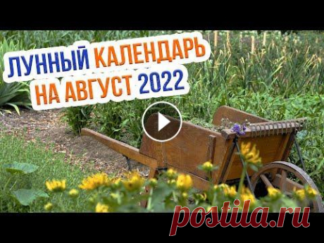 Благоприятные дни для работ в августе 2022. Лунный календарь огородника и садовода На канале Антонов сад в Телеграм вы можете скачать "Шпаргалку о выращивании томатов", пригодится: Благоприятные дни для работ в августе 2022...
