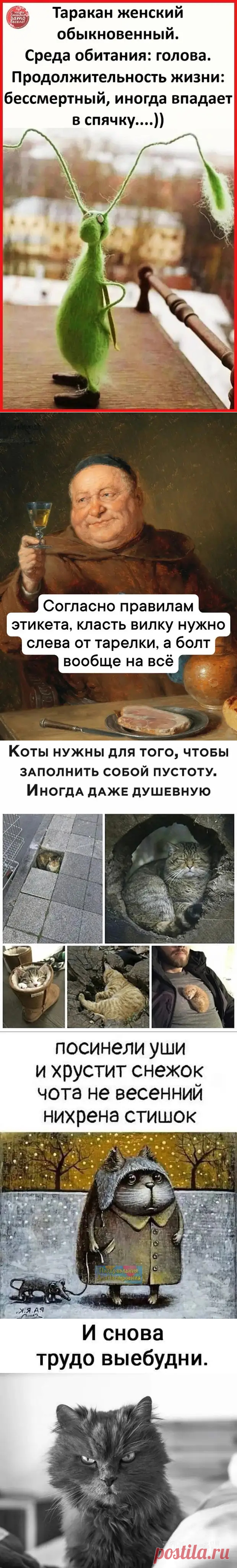 Шутки для настроения - Смехотерапия - 17 января - 43558484981 - Медиаплатформа МирТесен