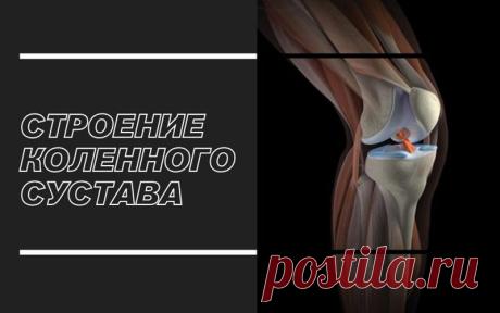 Хруст в коленном суставе (крепитация) — необязательно симптом серьезного заболевания. Часто это довольно безобидное явление: во время ходьбы в синовиальной жидкости могут образовываться пузырьки воздуха, они лопаются, и колено хрустит. Обычно с таким явлением сталкиваются люди, которые ведут малоподвижный образ жизни.