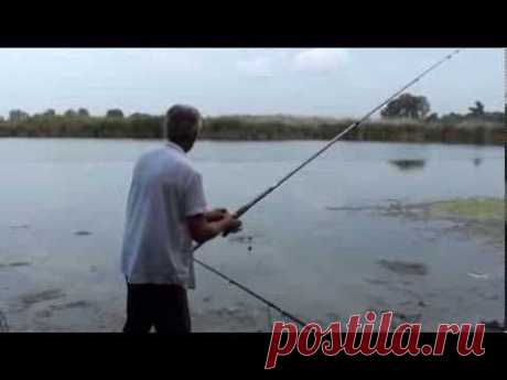 Технопланктон для ловли толстолобика от &quot;Колдуна&quot;