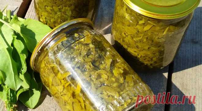Щавель в банках на зиму, пошаговый рецепт с фото