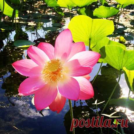 Редактировать описание