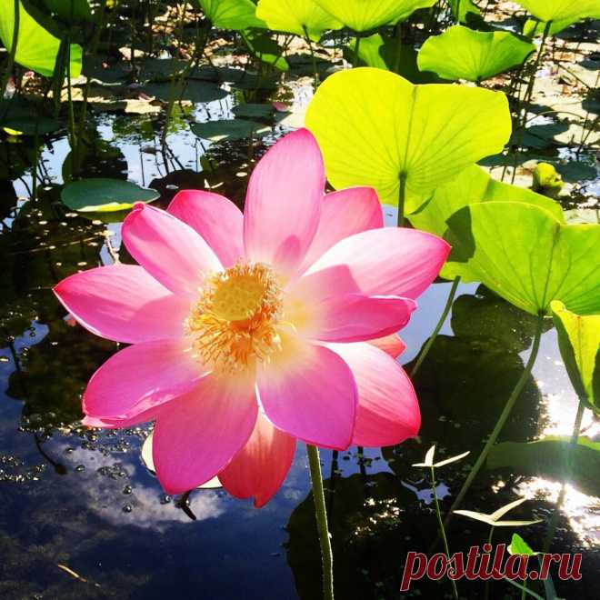 Редактировать описание