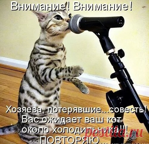 ВОЗЗВАНИЕ