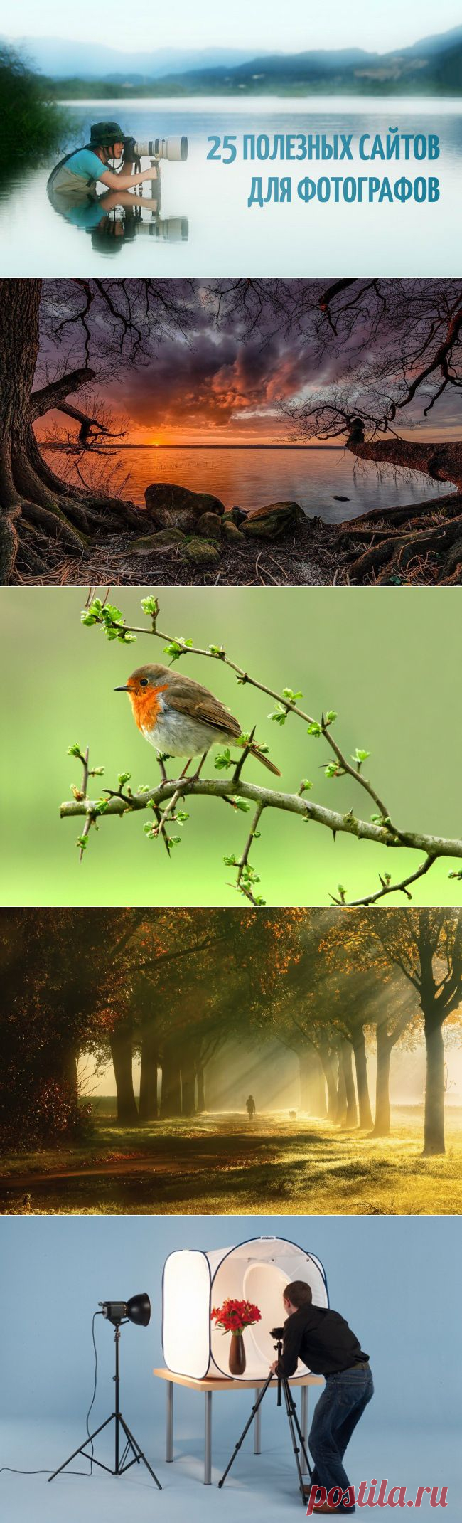 25 полезных сайтов для фотографов
Очень полезная ссылка по фото