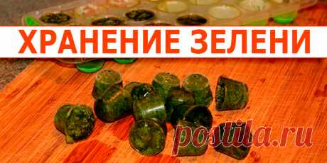 ХРАНЕНИЕ ЗЕЛЕНИ | Полезные советы