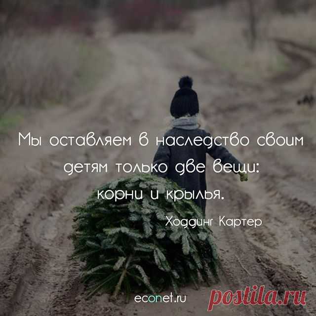 https://econet.ru/articles/176985-inogda-vsyo-okazyvaetsya-slishkom-prosto

Подписывайтесь Econet.ru

#inspiration #вдохновение #счастье #believeinyourself #peace#calm #beauty #beautiful #motivation #красота #красиво #picoftheday #photooftheday #innerpeace #preciousmoments #quotes #quoteoftheday #qotd #lifequotes #inspirationquotes #motivationquotes #quoteoftheday #econet