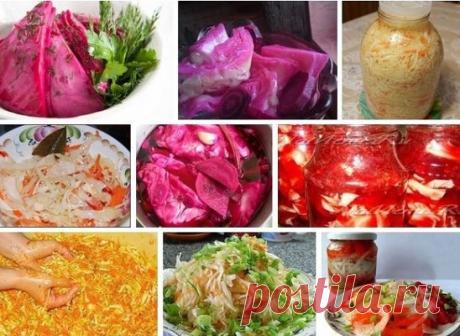 КВАСИМ КАПУСТУ 
Сохрани шпаргалку, поделись с одноклассниками! 
1. Вкуснейшая хрустящая капуста "Пелюстка" - очень просто! 
Маринуется такая капуста вместе со свеклой,что и придаёт её листочкам не только отличный вкус и аромат,но и красивый розовый цвет. 
Именно благодаря своему цвету,похожему на цвет лепестков розы, капуста "Пелюстка"и получила своё название. 
"Пелюстка" в переводе с украинского означает лепесток. 
Получается очень вкусная и имеет остро-сладкий вкус. 
Ингредиенты на 3-х л