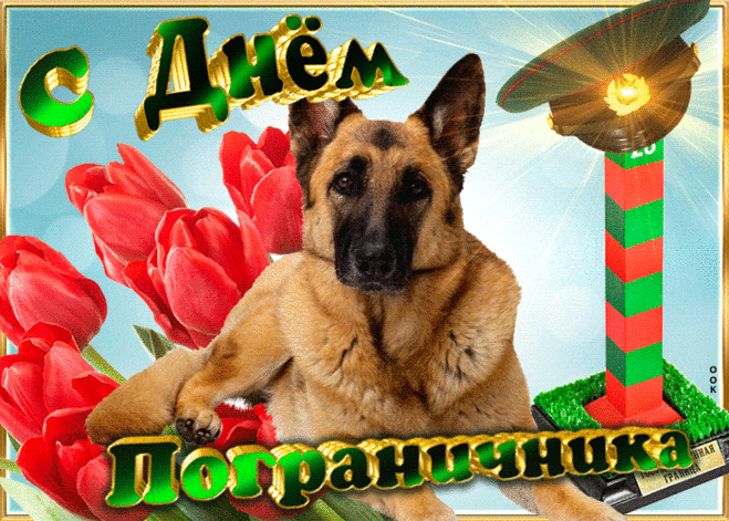 Я сегодня поздравляю
Родины защитника!
Умного и смелого
Суперпограничника.
