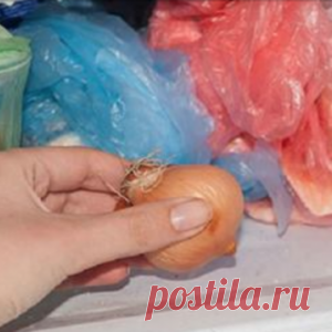 Для чего хозяйка кладет в морозилку 2 луковицы? - МирТесен