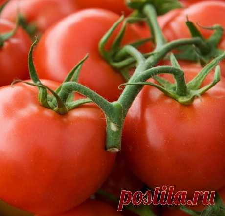 Чего нельзя делать при выращивании помидоров