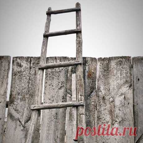 Лестница в небо!  Немного деревенского колорита....#домиквдеревне #жизньвдеревне #садогород #изгородавдеревню