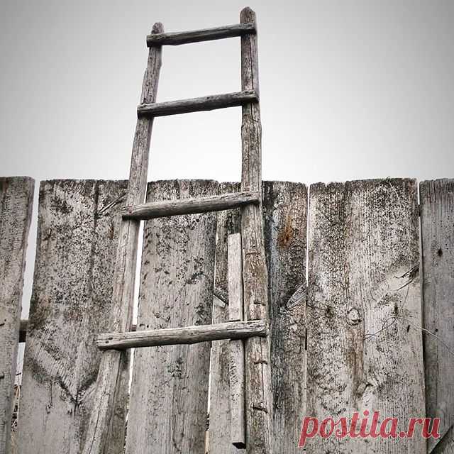 Лестница в небо!  Немного деревенского колорита....#домиквдеревне #жизньвдеревне #садогород #изгородавдеревню