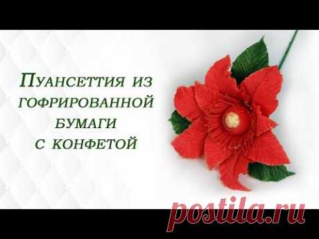 Пуансеттия из гофрированной бумаги с конфетой. Простой способ. Рождественская звезда из бумаги.