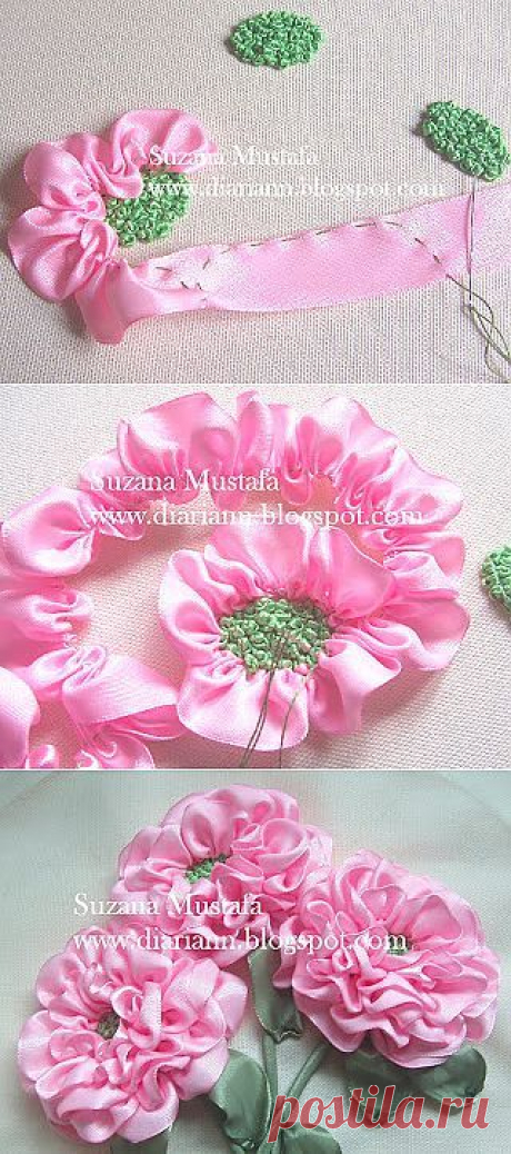 (97) Pinterest
