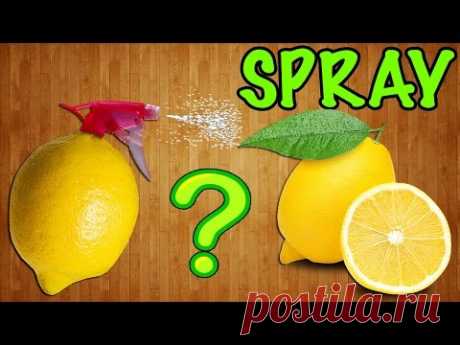 Как сделать насадку-распылитель для цитрусовых своими руками/How to make a citrus homemade spray cap