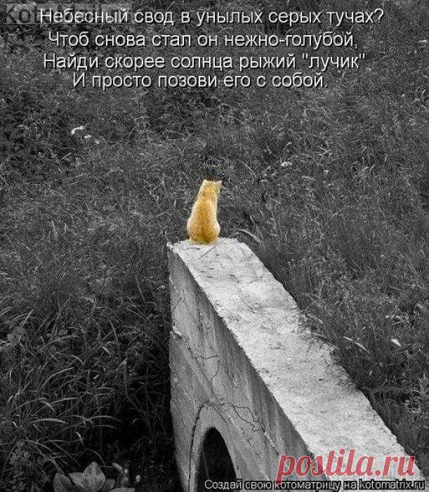 Позови его с собой...