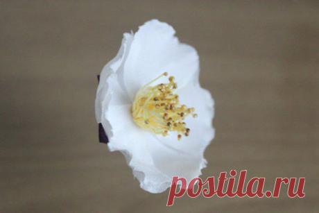 Нежнейшая брошь из фоамирана - Яблоневый цвет - Рукоделие