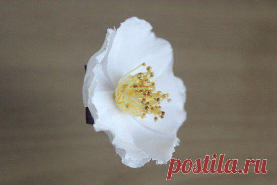 Нежнейшая брошь из фоамирана — Яблоневый цвет — Рукоделие