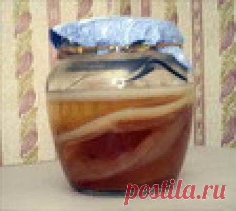 Использование чайного гриба в косметологии