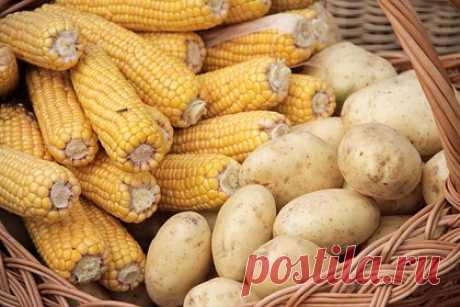 Миф о вреде нескольких популярных продуктов для фигуры опровергли. Сертифицированные нутрициологи Тэмми Лакатос-Шеймс и Лисси Лакатос развеяли миф о вреде углеводов для фигуры. Они призвали перестать демонизировать эту категорию продуктов, потому что, вопреки расхожему мнению, не все из них плохие. Более того, такие углеводы, как картофель или морковь, могут способствовать похудению.